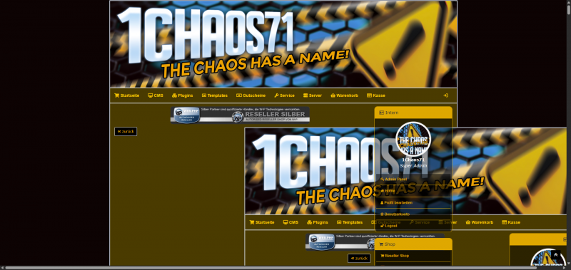 Vermutung SEO-Plugin Fehler?